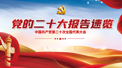 简约党建一图速览稳定性大报告解读内容宣传展板