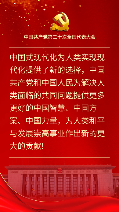 二十大中国方案中国力量表述鼓舞人心海报