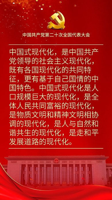 二十大表述鼓舞人心海报