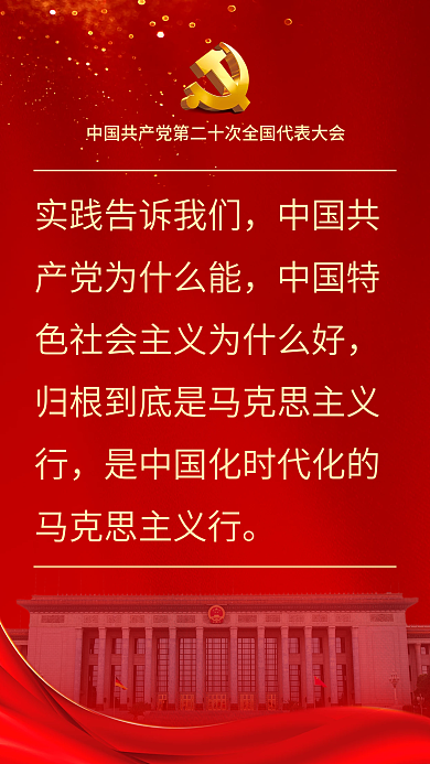 二十大表述鼓舞人心海报