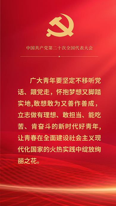 红金党建跟党走敢担当报告关于教育的重要表述海报