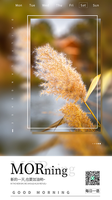 简约小清新MOR每日一语日签海报配图