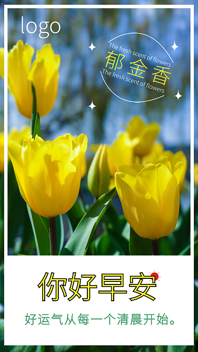 小清新郁金香背景海报