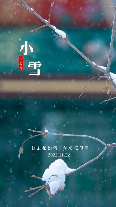 小雪二十四节气昔去花如雪今来花似雪海报