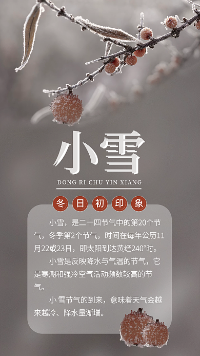 小雪海报初寒小雪介绍树枝