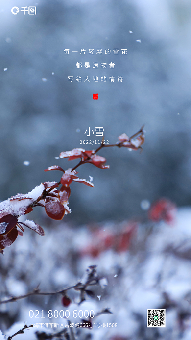 极简24节气小雪借势海报