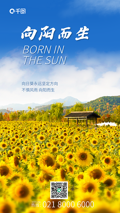 正能量小清新向阳而生热线向日葵日签海报
