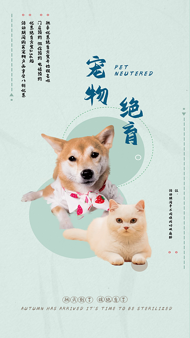 宠物绝育绝育PET促销海报