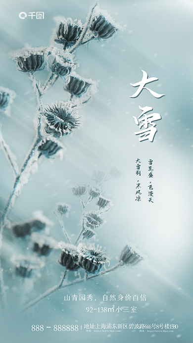 大雪地产气节摄影海报