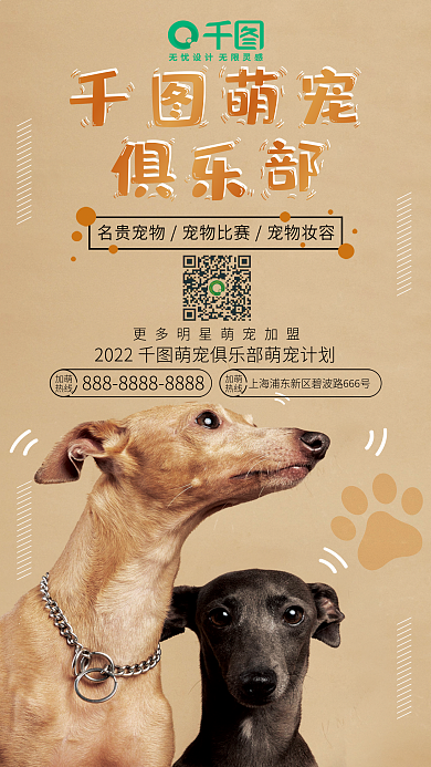 可爱萌宠萌宠加萌俱乐部海报