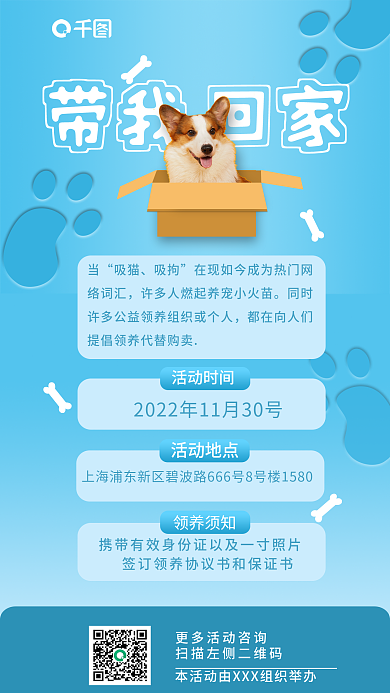 简约宠物带我回家吸猫领养海报