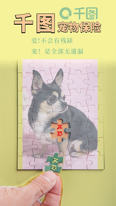 黄色宠物风险宠物保险保险海报