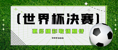 案例世界杯世界杯决赛