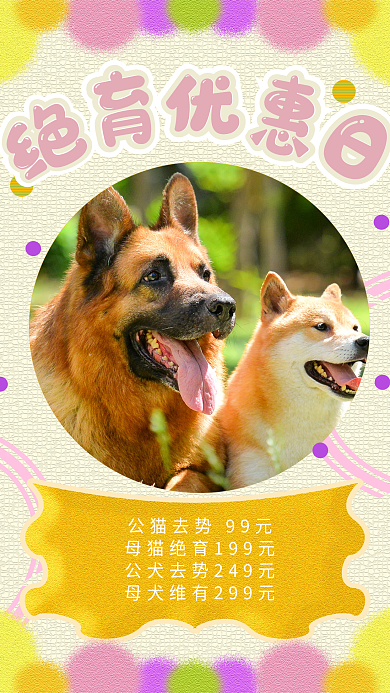 宠物绝育促销海报