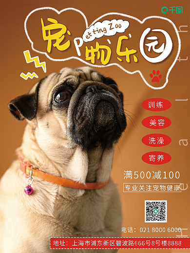 宠物乐园tingZ训练海报