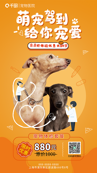 宠物医馆限时优惠优惠促销海报