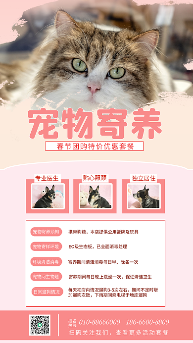 新春宠物宠物寄养专业医生寄养海报