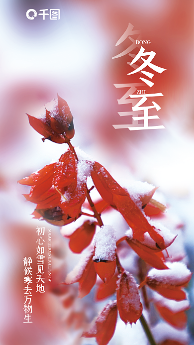 大气简约冬至节气海报