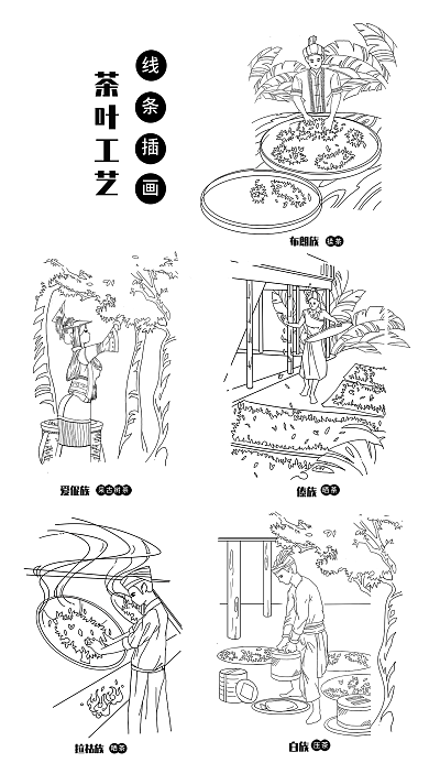 茶叶工艺傣族晒茶线条插画