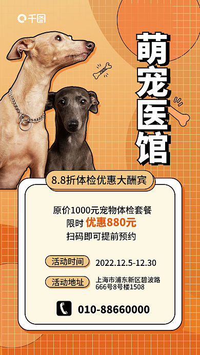 宠物医馆萌宠医馆优惠促销海报