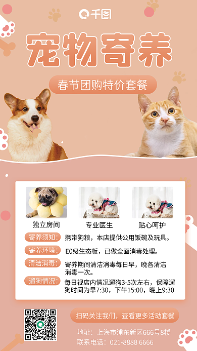 新春宠物独立房间专业医生促销