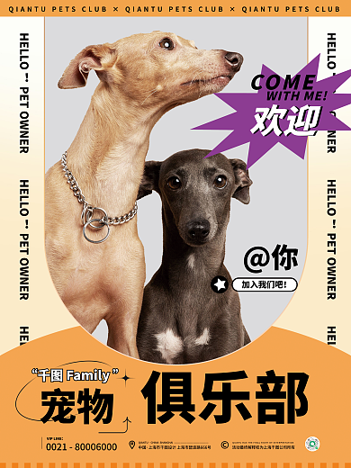 宠物俱乐部用品狗粮可爱扁平时尚会员海报