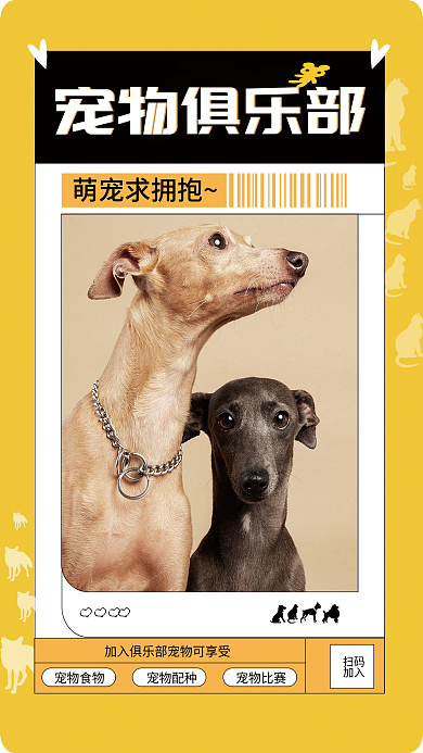 宠物俱乐部宠物食物宠物配种促销海报