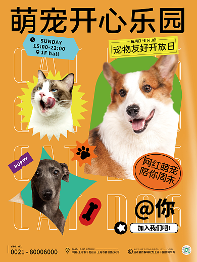 宠物乐园加入我们吧中国可爱扁平时尚会员酸性海报