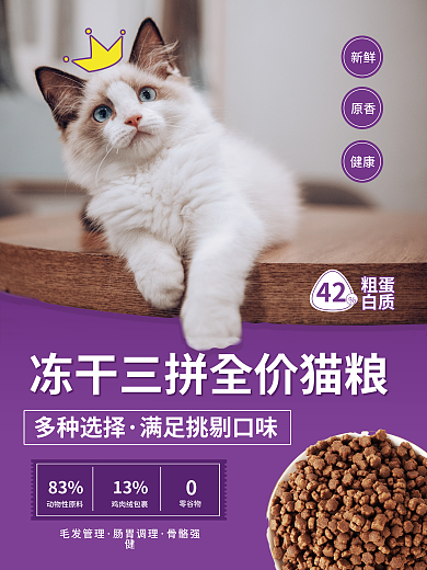 营养猫粮42粗蛋促销海报