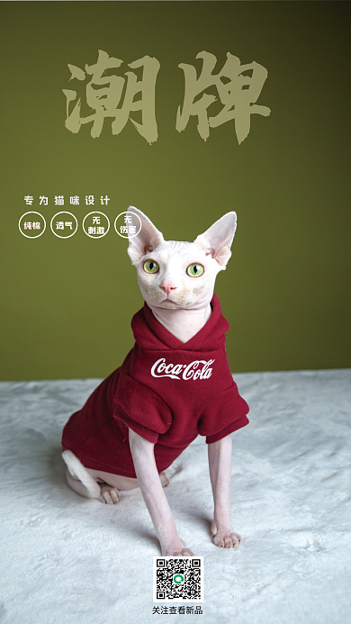 猫咪衣物潮牌专为猫咪生活用品促销海报