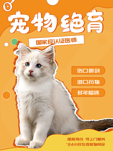 宠物绝育多年临床进口药物医疗海报