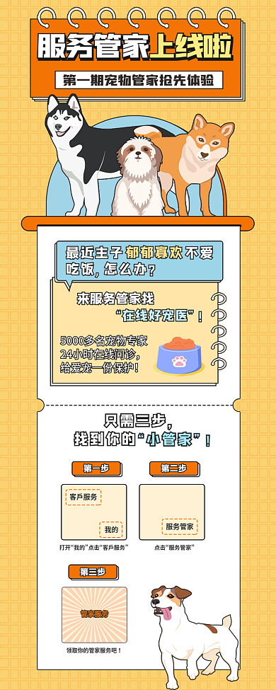 扁平宠物服务管家吃饭怎么办生活服务宣传讲解长图海报
