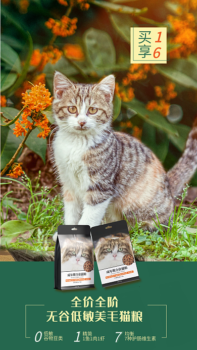 营养猫粮全价全阶低敏促销活动海报