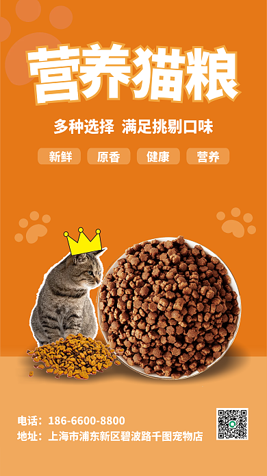 营养猫粮宠物食品宣传促销海报