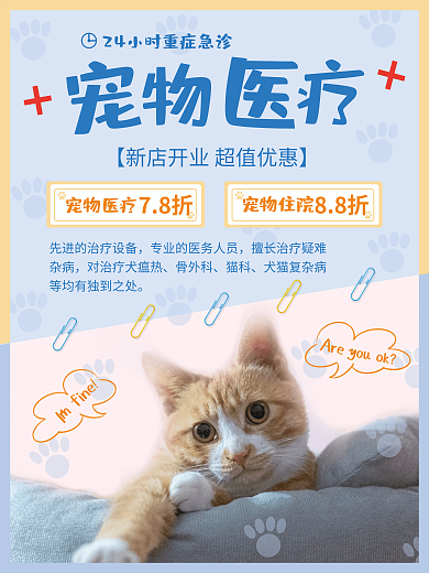 宠物24mfine杂病宠物医疗宣传海报