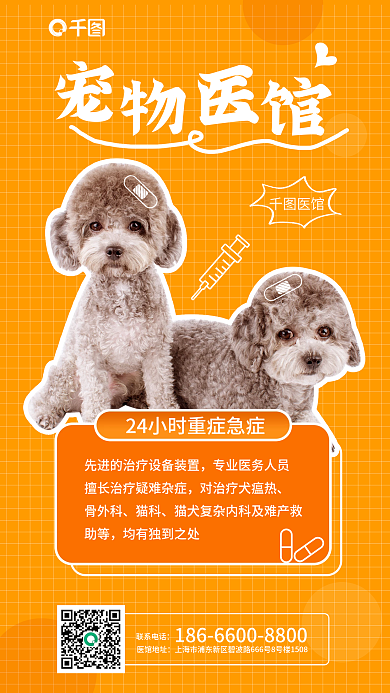 宠物24联系电话医馆宠物医疗宣传海报