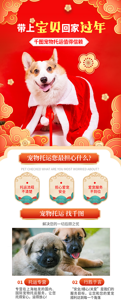 宠物新春宠物托运找托运专营便利服务促销宣传信