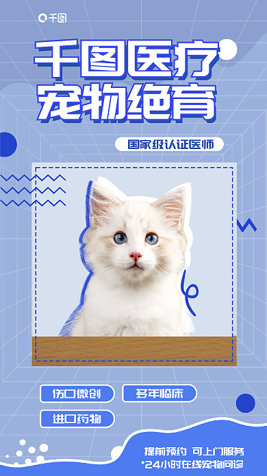 猫咪宠物宠物绝育医疗海报