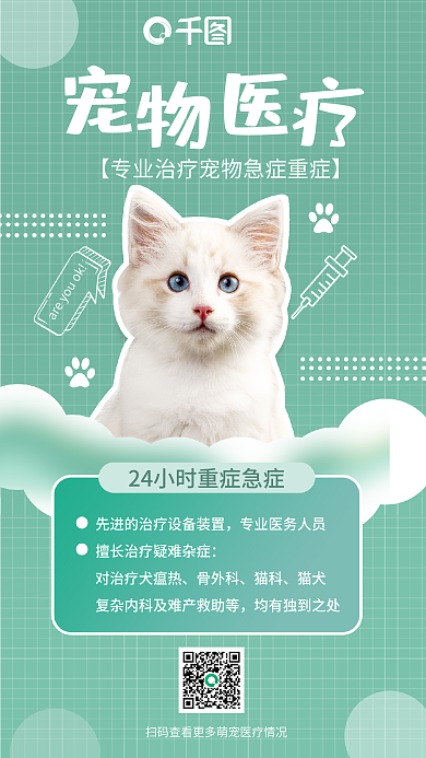宠物24骨外科猫科宠物医疗宣传海报