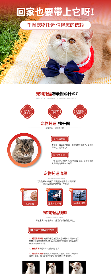 宠物新春※托运专营运得放心便利服务促销宣传长图