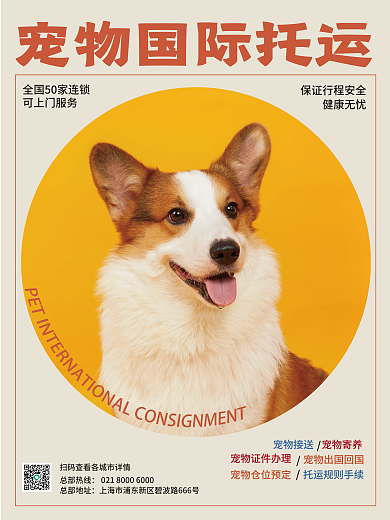 宠物国际可上门服务健康无忧便利服务宣传促销海报