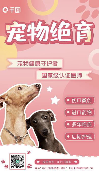 宠物绝育电话宠物绝育服务宣传海报