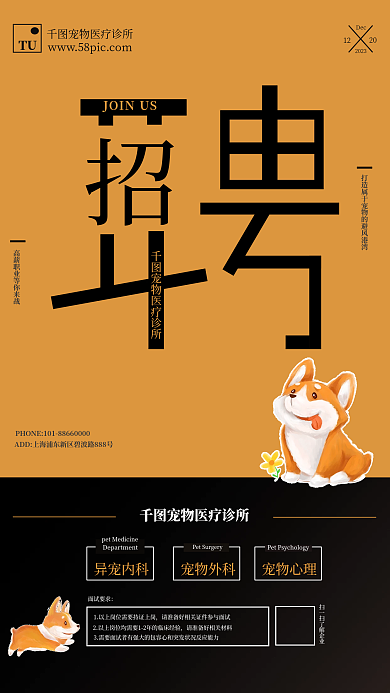 宠物诊所异宠内科宠物外科行业招聘宠物店撞色海报