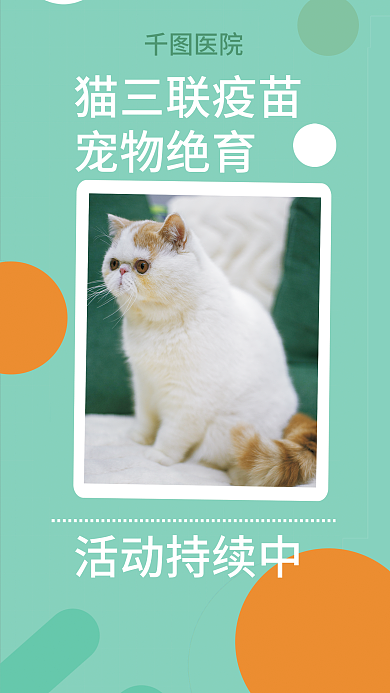 宠物绝育医院猫三联疫苗服务宣传海报
