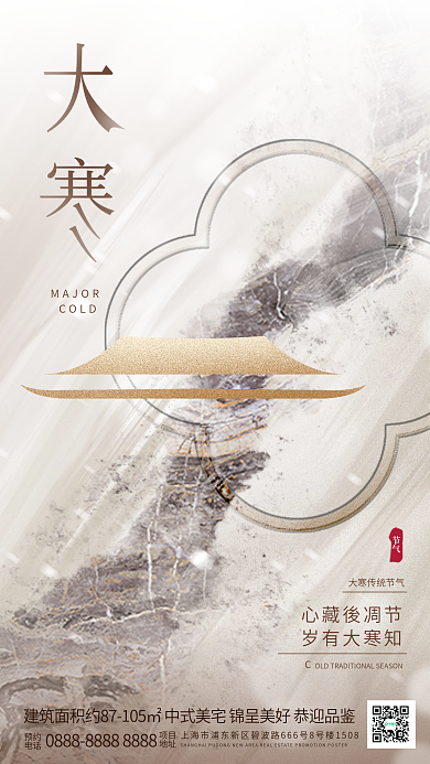新中式传统项目地址雪花大寒节气海报