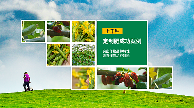 绿色定制上千种海报banner