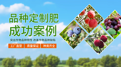 农业品种品种定制肥成功案例案例banner海报横版
