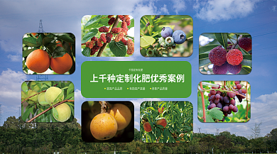 绿色企业定制化肥肥banner