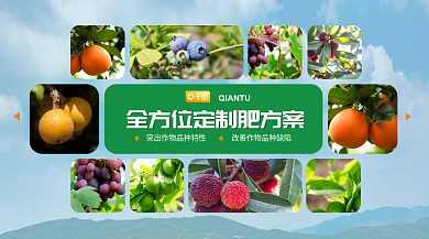 果蔬定制