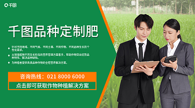 人像定制品种定制肥咨询热线banner